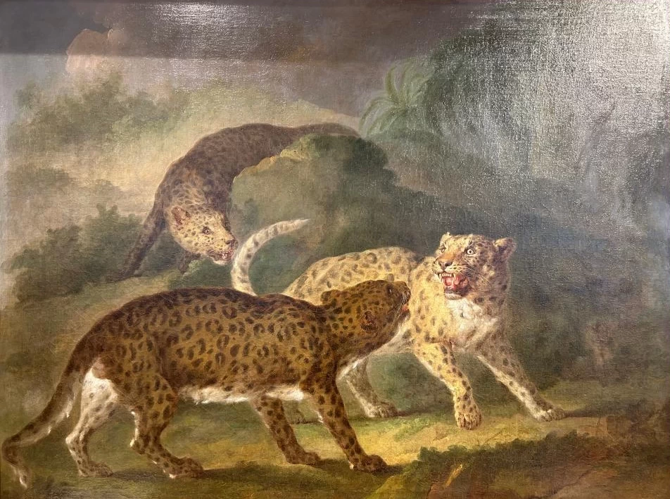 Tre leopardi in un paesaggio